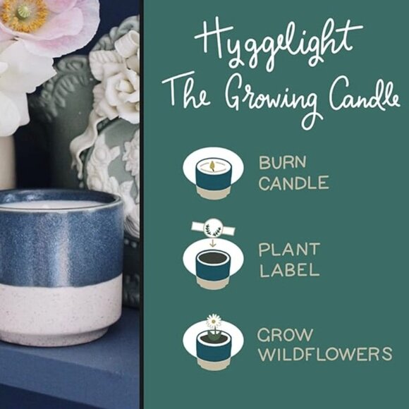 Hyggelight Growing Candle 100% Soy Willow Mint + Eucalyptus Seed Label, NIB - Picture 1 of 8